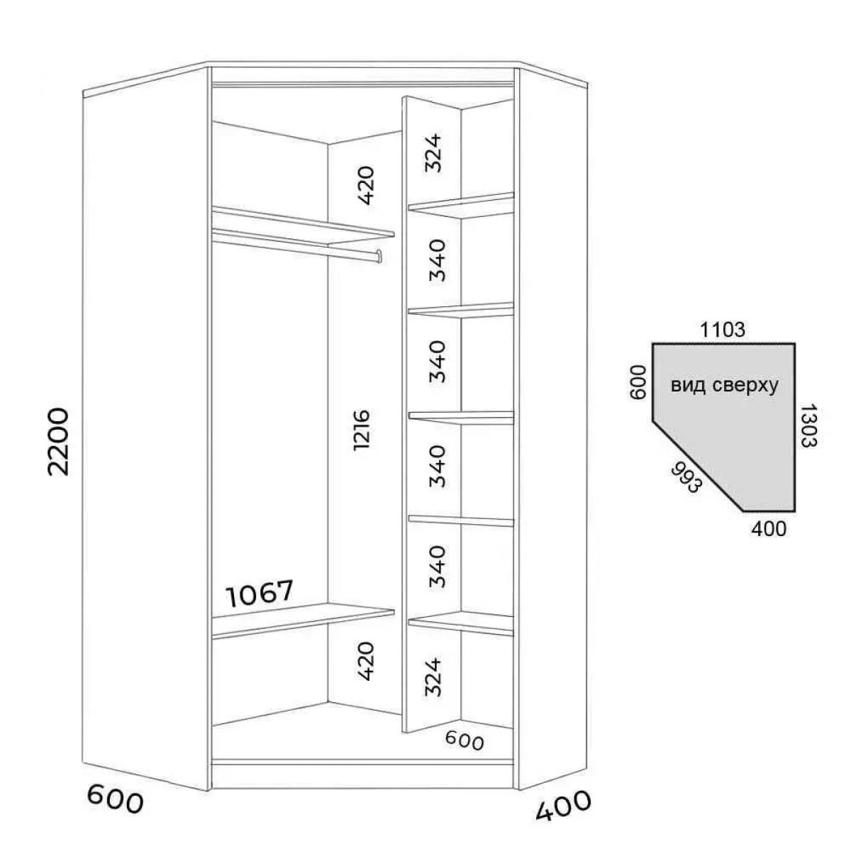 Шкаф-купе ХИТ-У-L-22-64-11 | фото 2